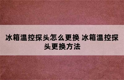 冰箱温控探头怎么更换 冰箱温控探头更换方法